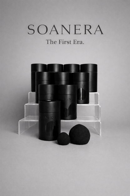 Black containers with large and small sponges on a gray background with 'SOANERA' branding.