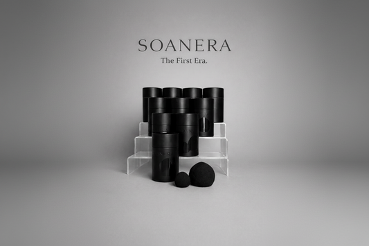 Makeup sponges in black packaging with a large and small sponge in front of them 